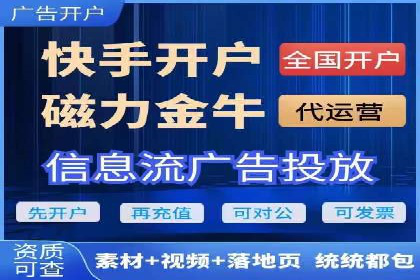 深度解析：百度竞价代理的优化策略与成功案例